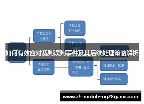 如何有效应对裁判误判事件及其后续处理策略解析