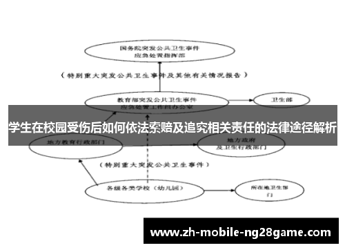学生在校园受伤后如何依法索赔及追究相关责任的法律途径解析