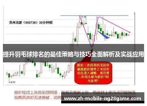 提升羽毛球排名的最佳策略与技巧全面解析及实战应用