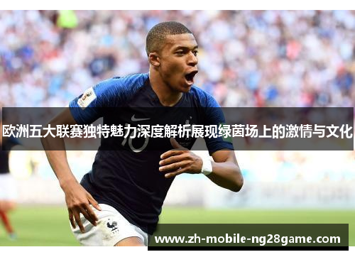 欧洲五大联赛独特魅力深度解析展现绿茵场上的激情与文化