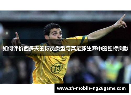 如何评价西多夫的球员类型与其足球生涯中的独特贡献
