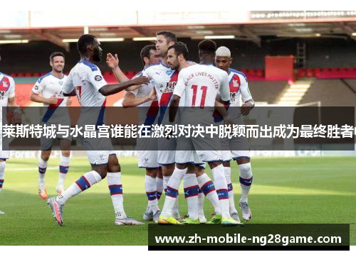 莱斯特城与水晶宫谁能在激烈对决中脱颖而出成为最终胜者