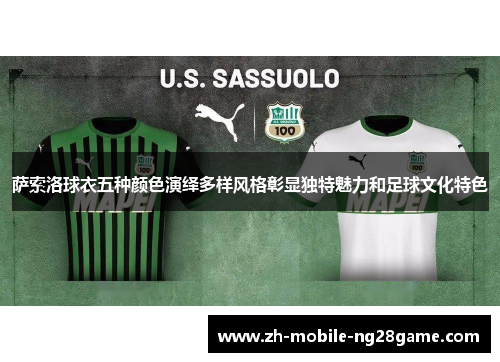 萨索洛球衣五种颜色演绎多样风格彰显独特魅力和足球文化特色
