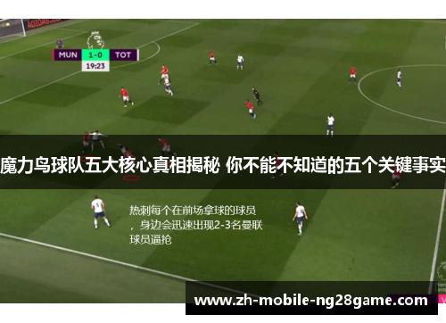魔力鸟球队五大核心真相揭秘 你不能不知道的五个关键事实
