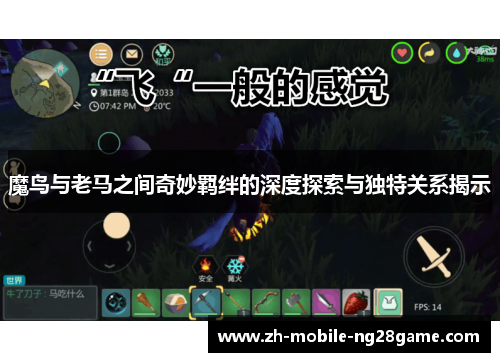魔鸟与老马之间奇妙羁绊的深度探索与独特关系揭示