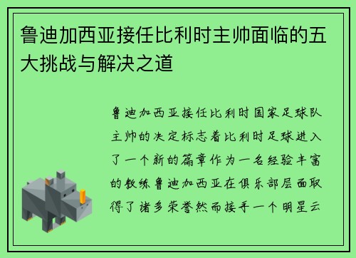 鲁迪加西亚接任比利时主帅面临的五大挑战与解决之道
