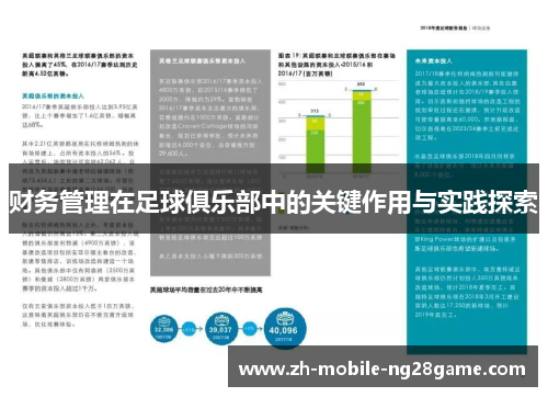 财务管理在足球俱乐部中的关键作用与实践探索 财务管理在足球俱乐部中的关键作用与实践探索